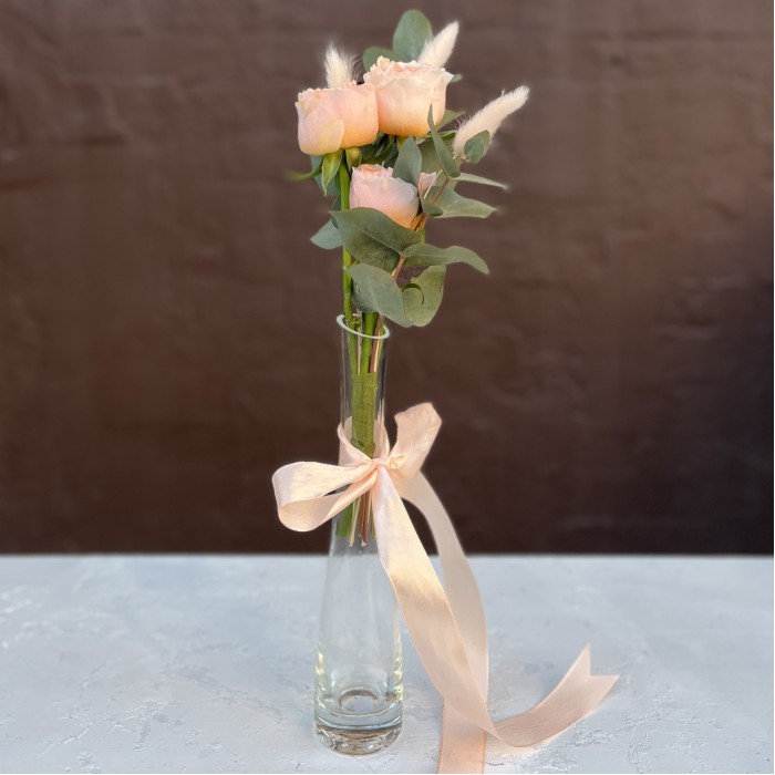 Настольный набор Коралловый Риф