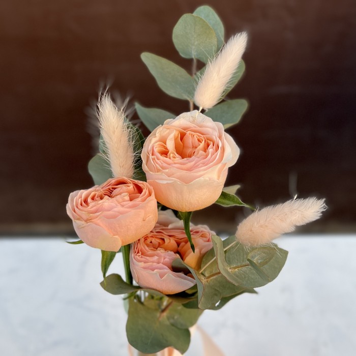 Настольный набор Коралловый Риф