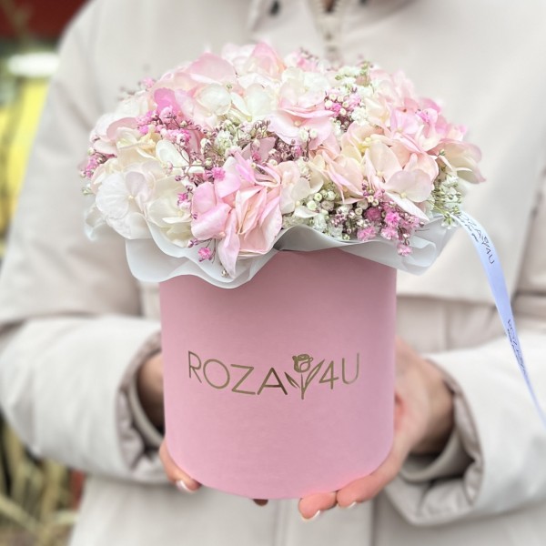 Нежная гипсофила с гортензией в коробке