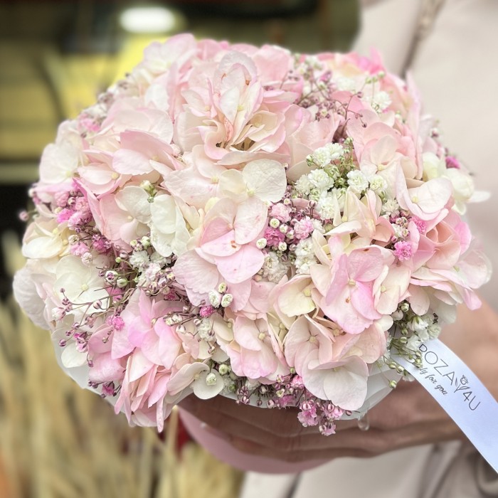 Нежная гипсофила с гортензией в коробке