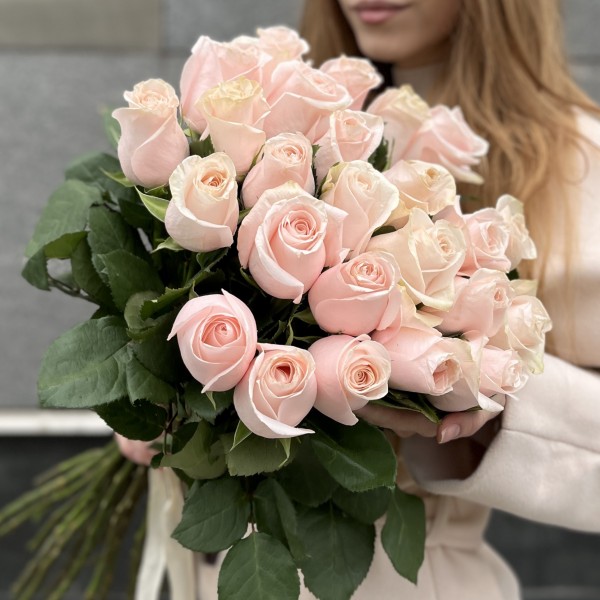 Нежно- розовая Помаросса 60 см