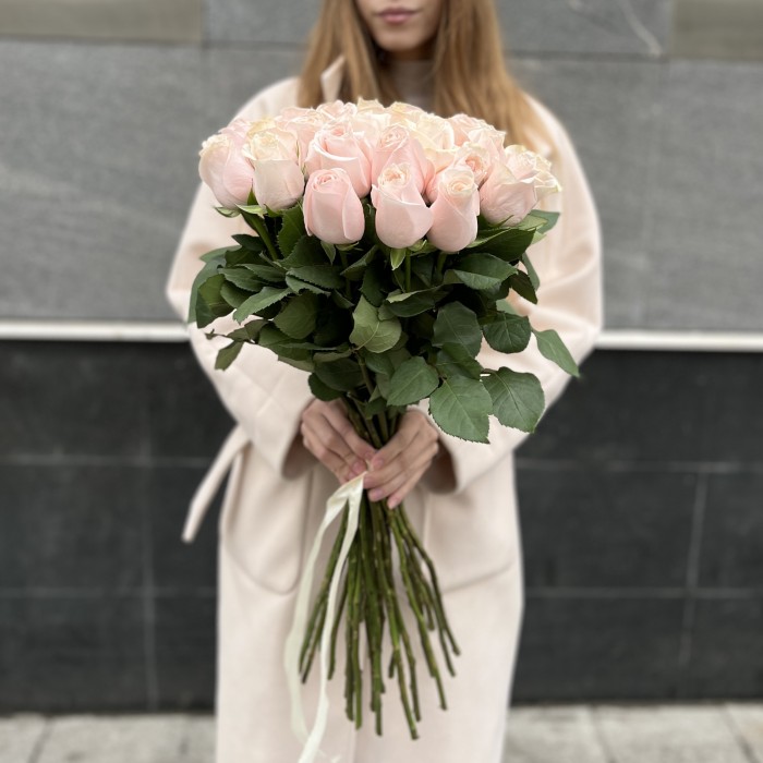 Нежно- розовая Помаросса 60 см