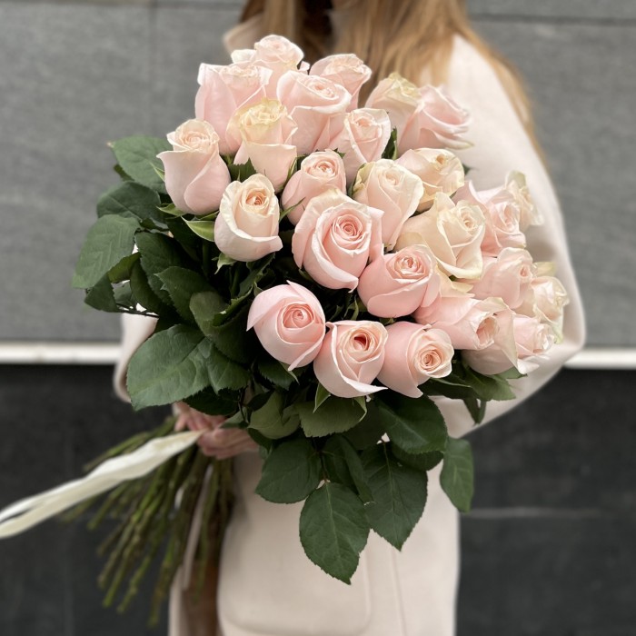 Нежно- розовая Помаросса 60 см