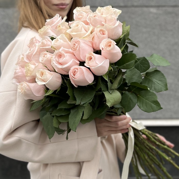 Нежно- розовая Помаросса 60 см