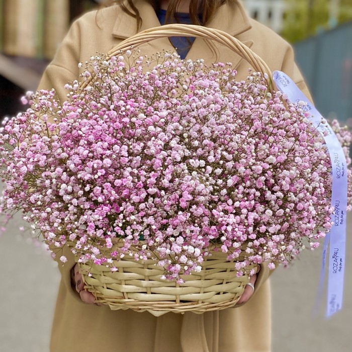 15 Нежно розовых гипсофил в корзине