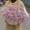 15 Нежно розовых гипсофил в корзине