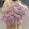 15 Нежно розовых гипсофил в корзине