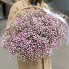 15 Нежно розовых гипсофил в корзине