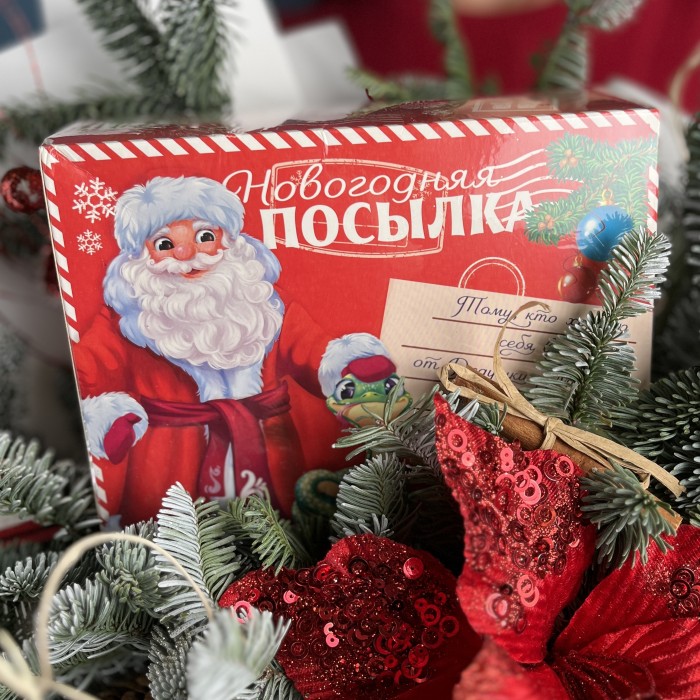 Новогодний букет Посылка деда мороза