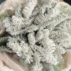 Новогодний букет Снежное утро