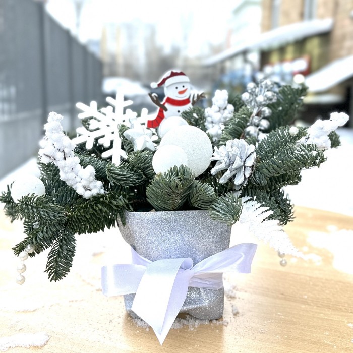 Новогодняя композиция с нобилисом Снеговичок