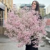 Облако из гипсофилы и Шаров на день рождения.