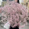 Облако из гипсофилы и Шаров на день рождения.