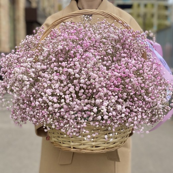 Облако из розовой гипсофилы в корзине