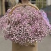Облако из розовой гипсофилы в корзине