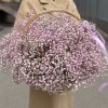 Облако из розовой гипсофилы в корзине