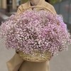 Облако из розовой гипсофилы в корзине