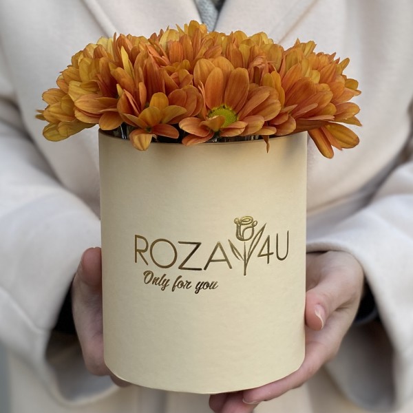 Оранжевые кустовые хризантемы в коробке