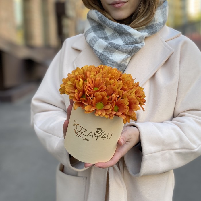 Оранжевые кустовые хризантемы в коробке