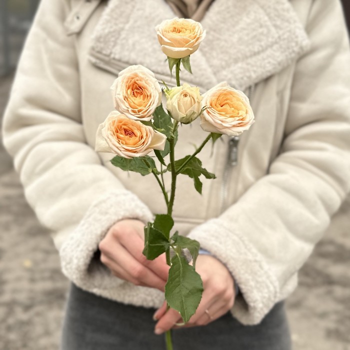 Кустовая  роза Тринити