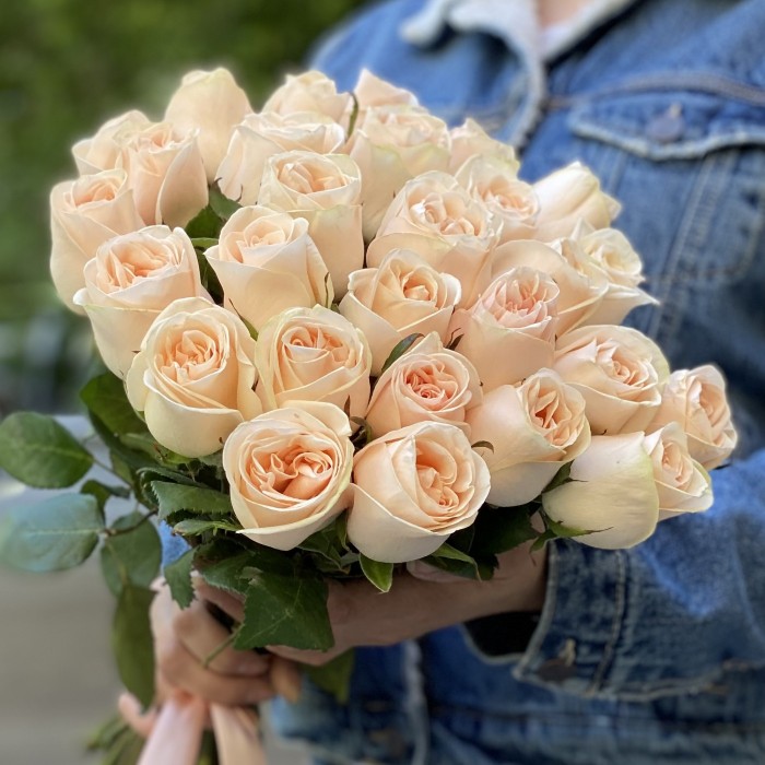 Пионовидная роза Модести