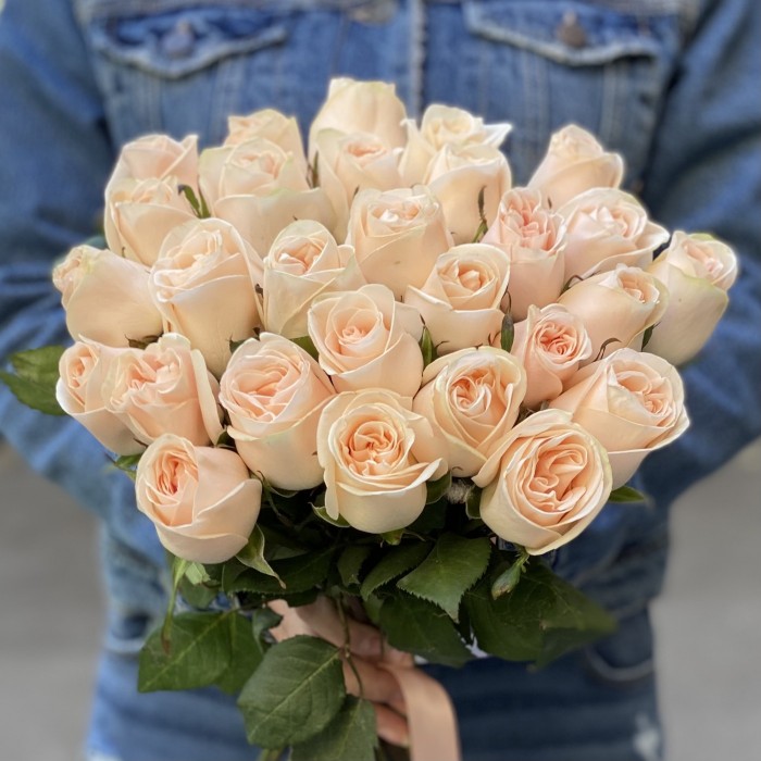 Пионовидная роза Модести