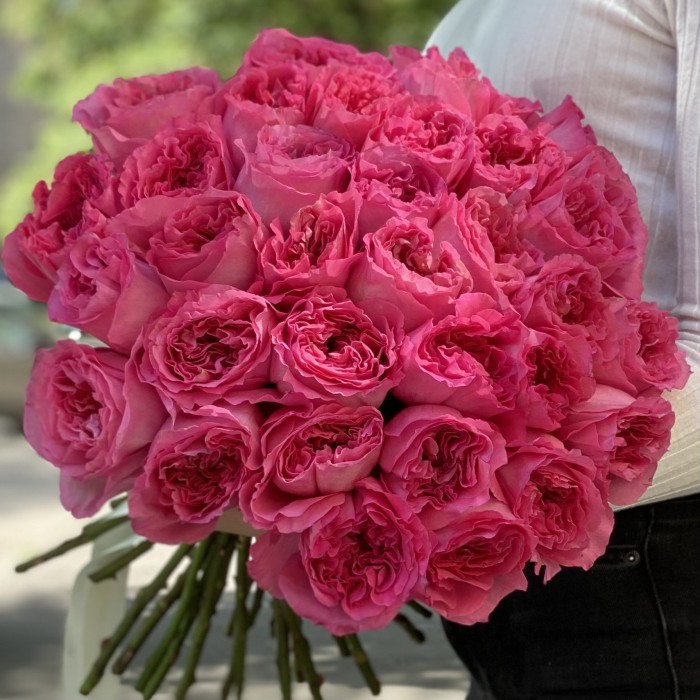 Пионовидная роза Петрова