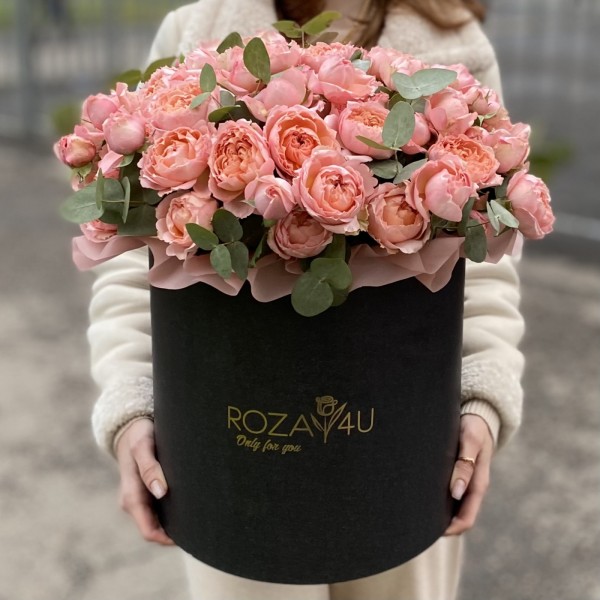 Пионовидная кустовая роза Джульетта в коробке