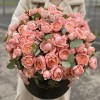 Пионовидная кустовая роза Джульетта в коробке