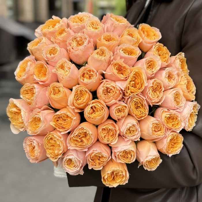 Пионовидная роза Имэджин 50 см