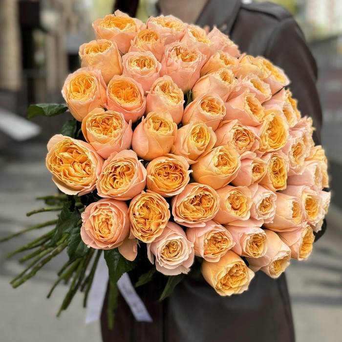 Пионовидная роза Имэджин 50 см