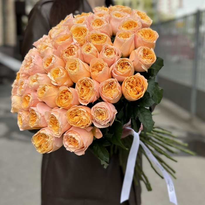 Пионовидная роза Имэджин 50 см