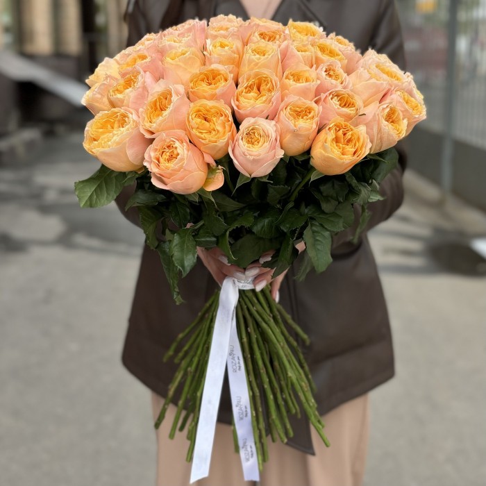 Пионовидная роза Имэджин 50 см