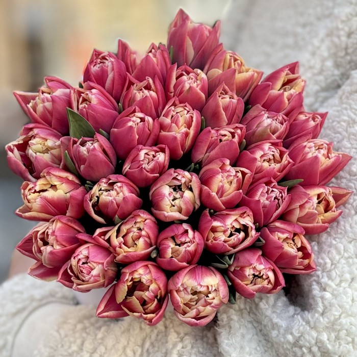 35 розовых пионовидных тюльпанов в белой коробке