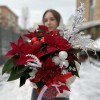 Пуансеттия с белым декором