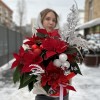 Пуансеттия с белым декором