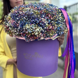 Пышная гипсофила в коробке