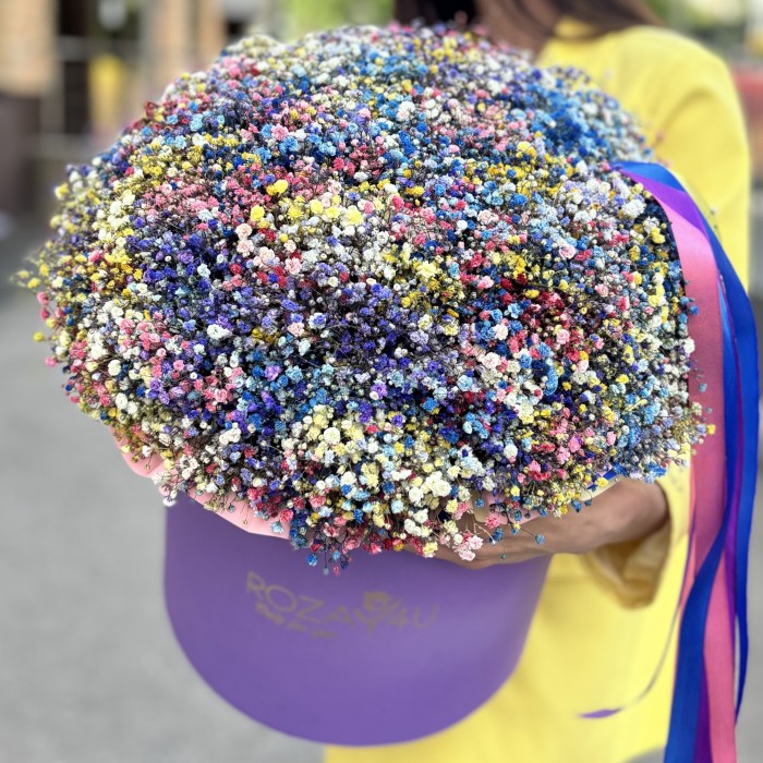 Пышная гипсофила в коробке