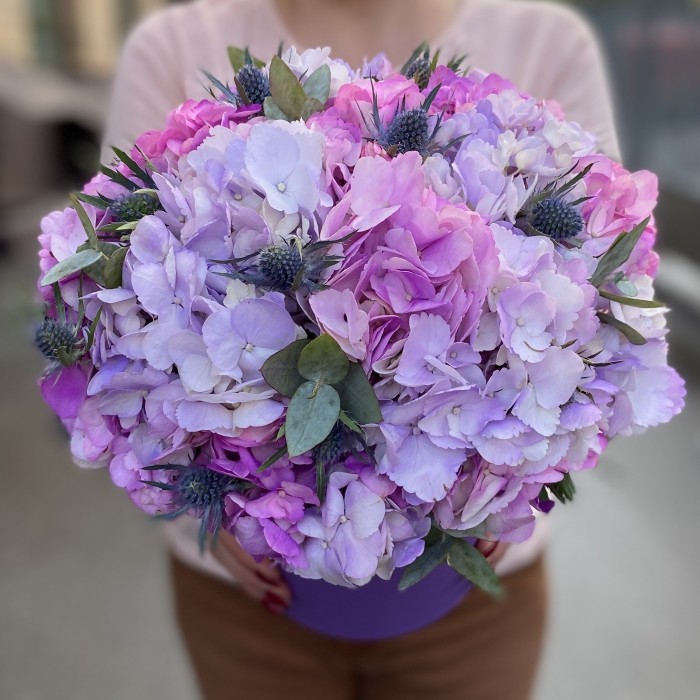 Радужная гортензия с эрингиумом в коробке