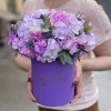 Радужная гортензия с эрингиумом в коробке
