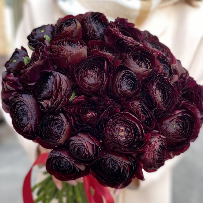 Ранункулюс черный