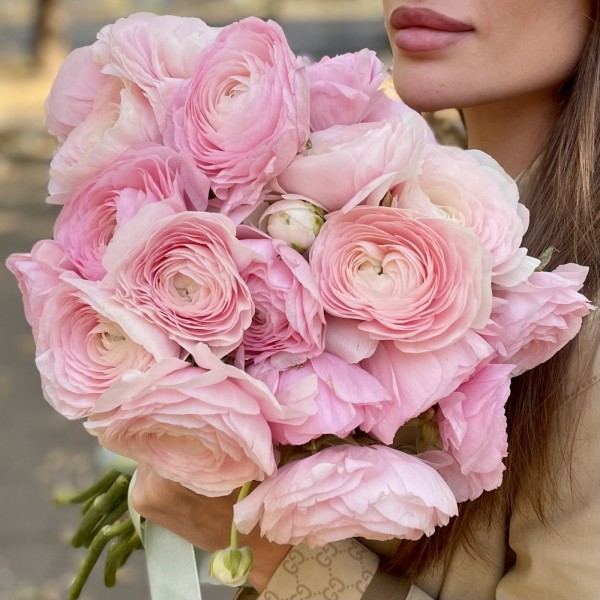 Ранункулюс розовый