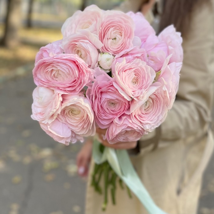 Ранункулюс розовый
