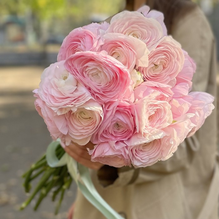 Ранункулюс розовый