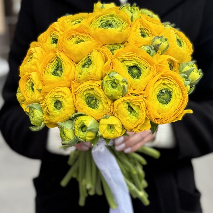 Ранункулюс желтый