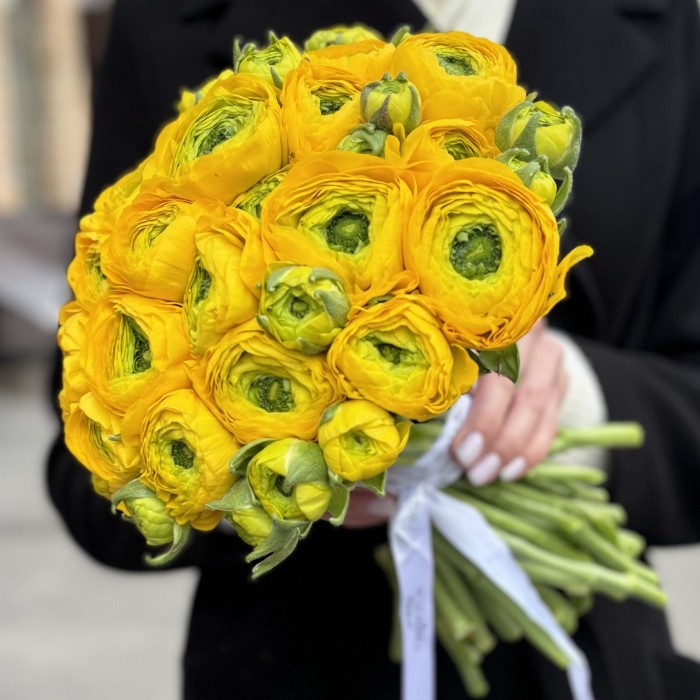 Ранункулюс желтый