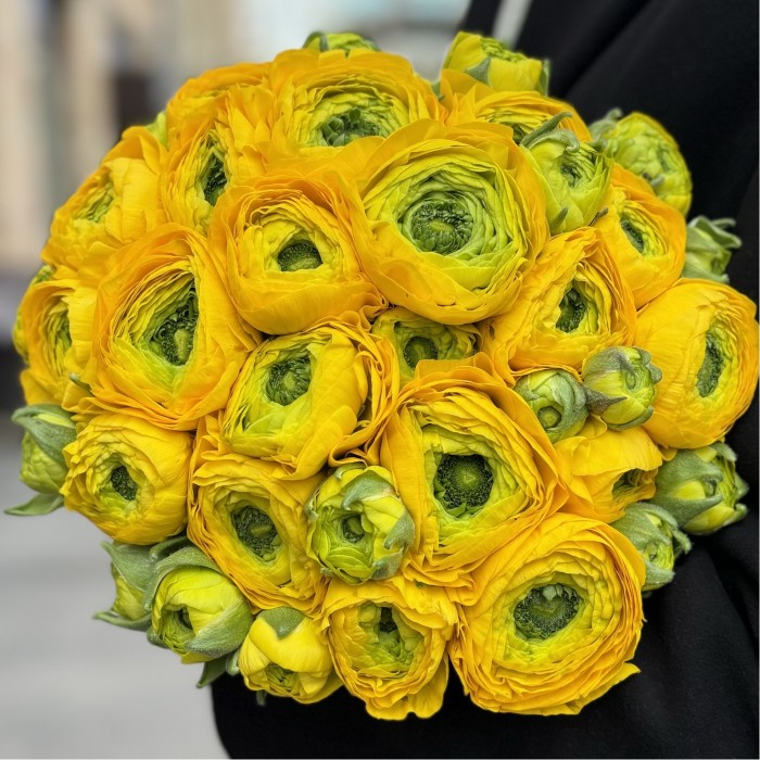 Ранункулюс желтый