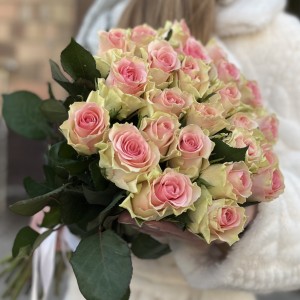 Роза Топ-гир 50 см