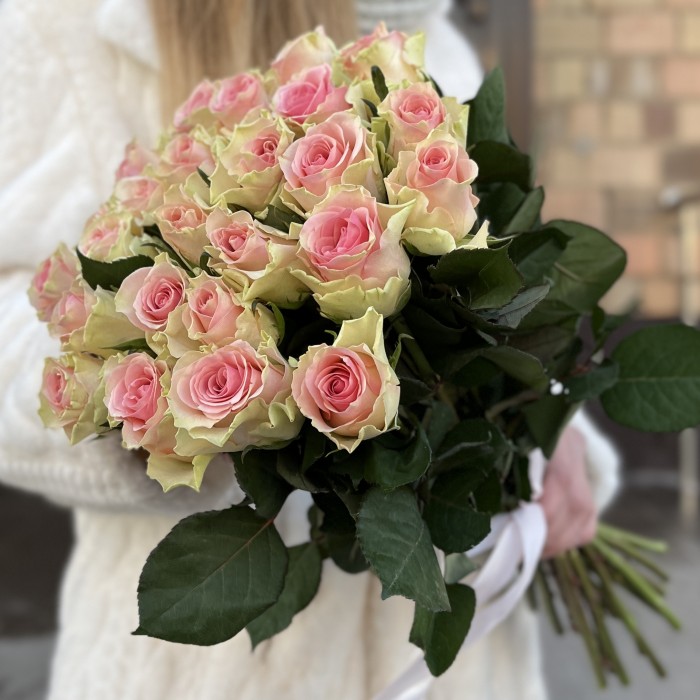 Роза Топ-гир 50 см