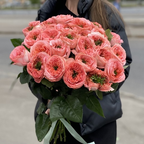 Пионовидная роза Мандарин экспрешен